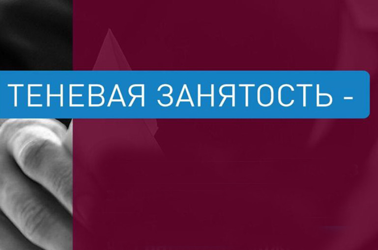 Что такое «теневая занятость» и как с ней бороться Что такое «теневая занятость» и как с ней бороться.